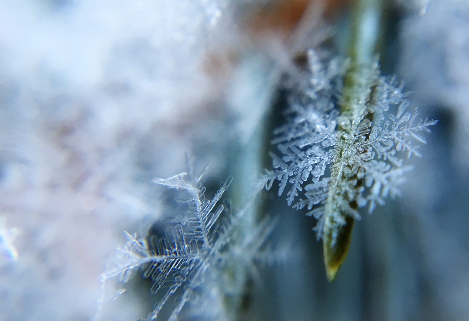 Snowflake. Photo by Aaron Burden on Unsplash.