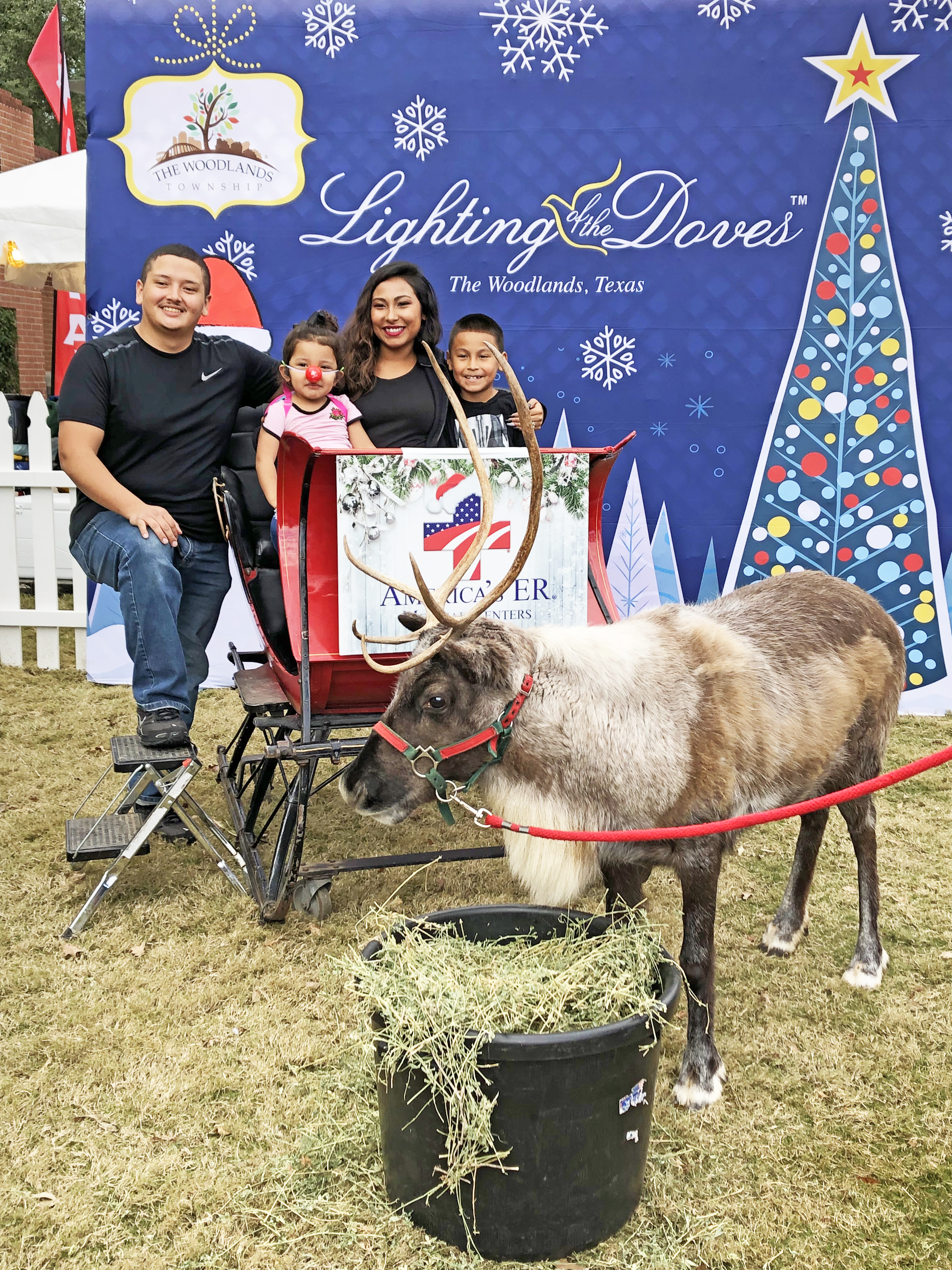 Lighting of the Doves 2018 Lighting of the Doves 2018