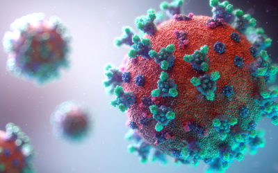 Coronavirus: What’s It All About?