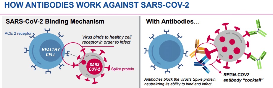 Vaccine Blog Image 1 - How Antibodies Work