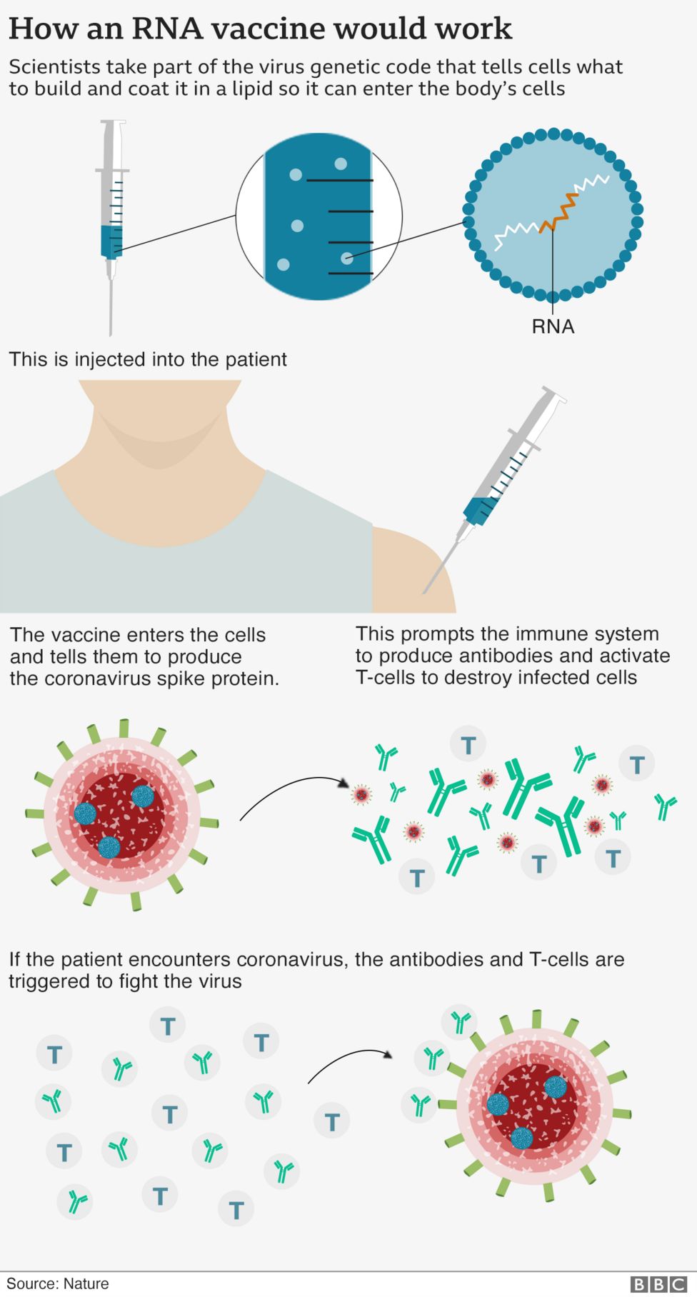 Top 10 COVID-19 Vaccine Myth & Facts - America's ER