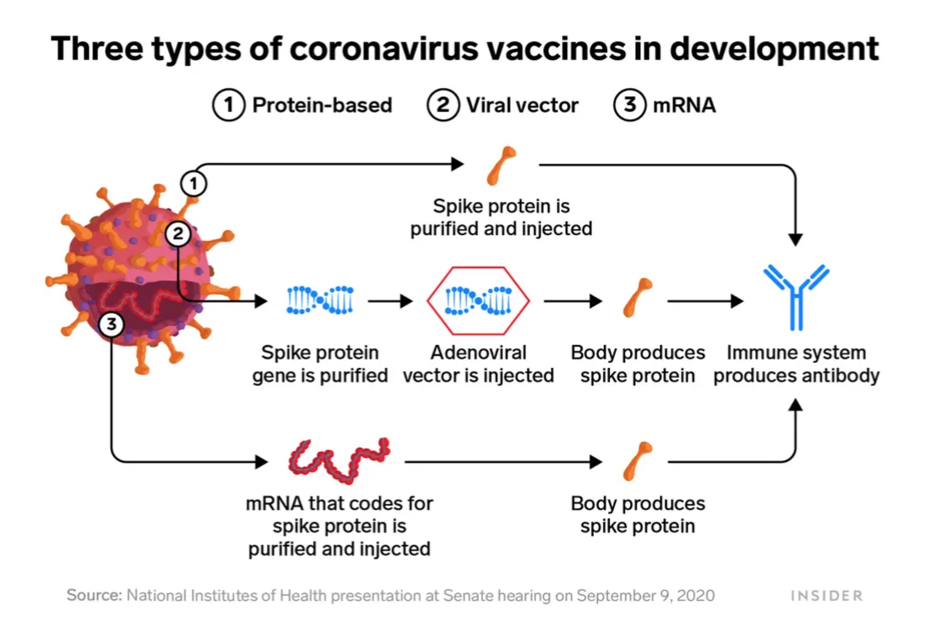 Vaccine Blog Image 5 - Vaccines in Development