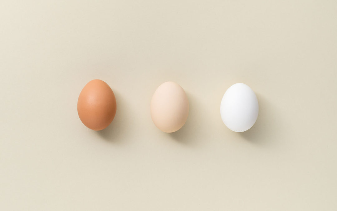 The Incredible Edible: Are Eggs Good or Bad?